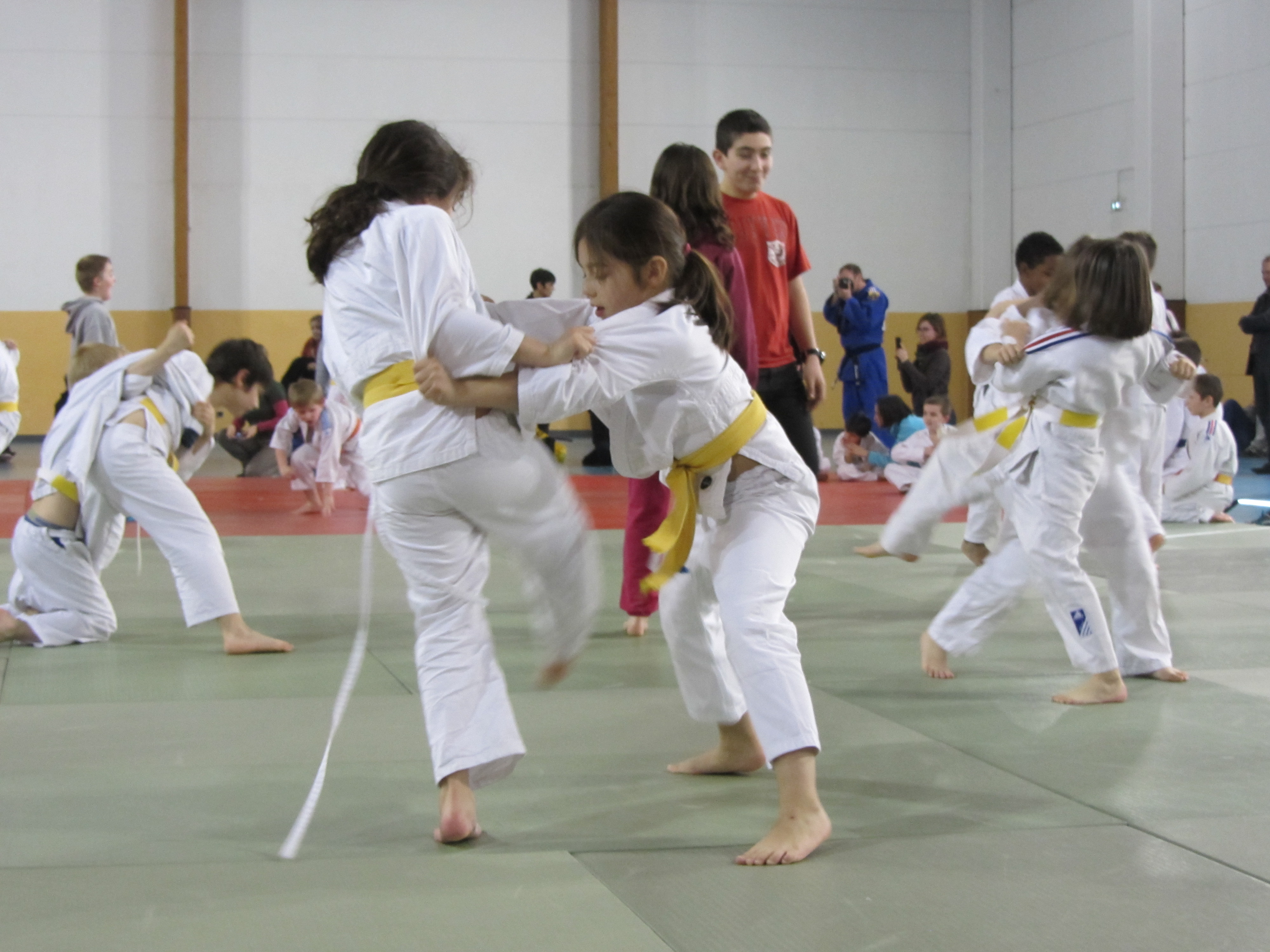 club de judo montpellier